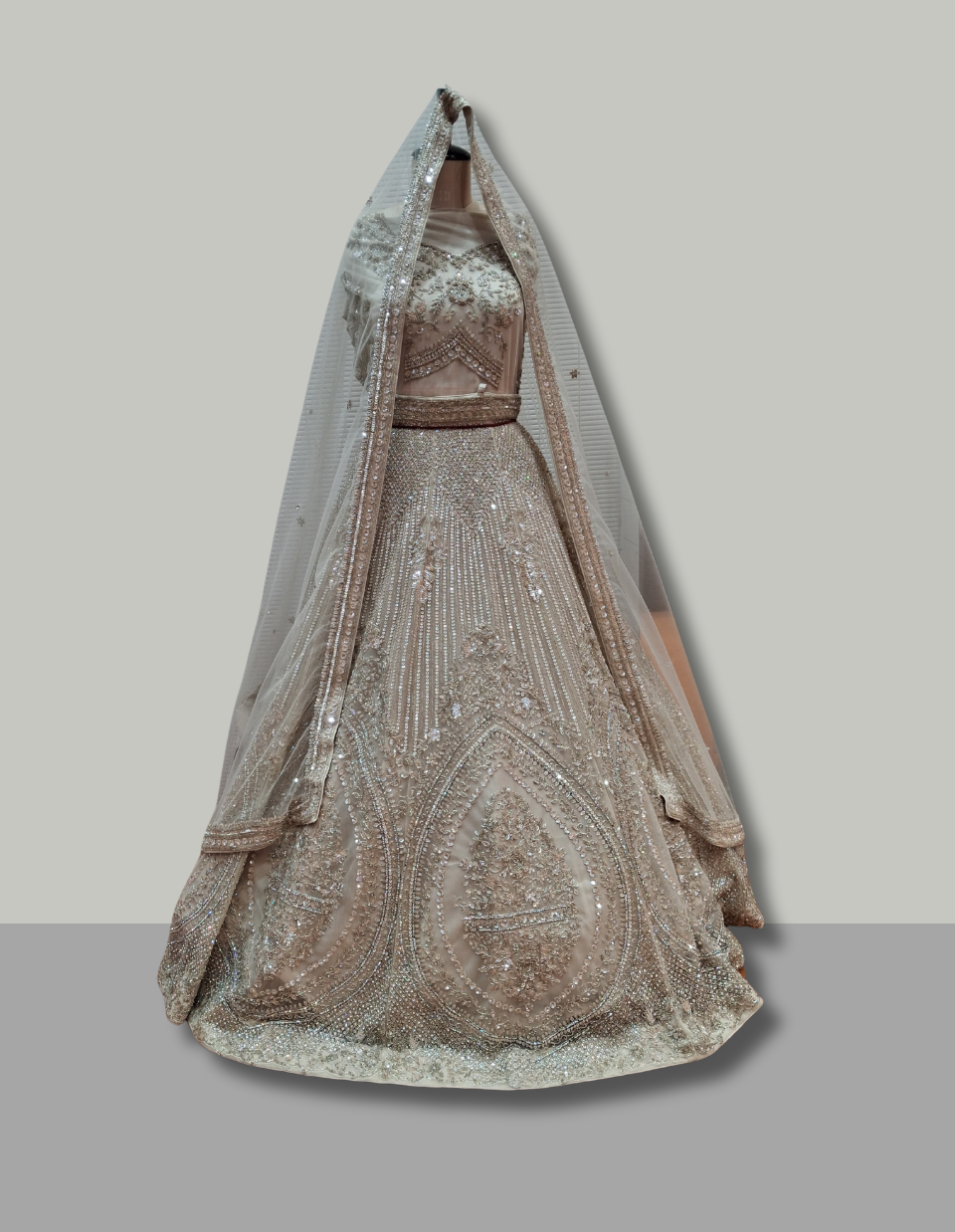 Champagne Beige Net Bridal Lehenga with Stone and Sequin Embellishments