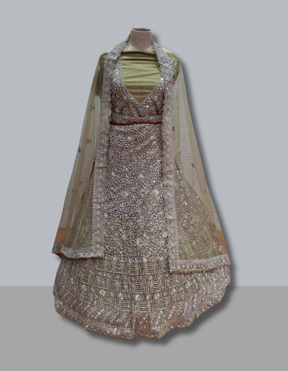 Party Perfect Lehenga with Sparkling Details