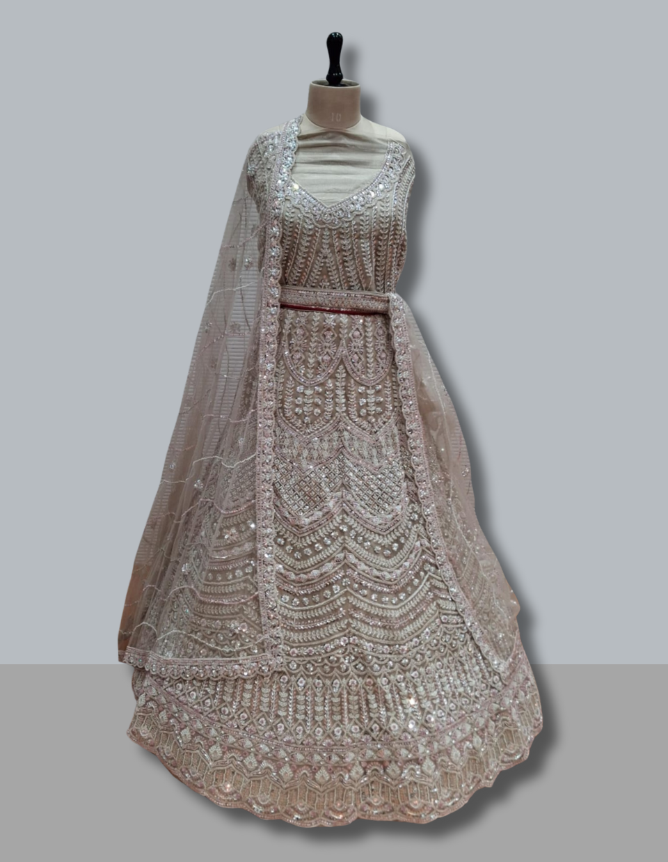 Elegant Party Wear Lehenga in Blush Pink