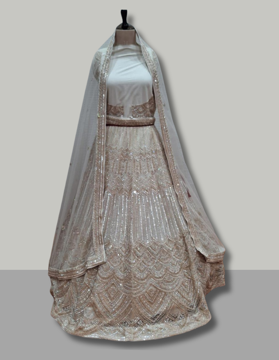 Champagne Gold Sequin Embroidered Lehenga Set
