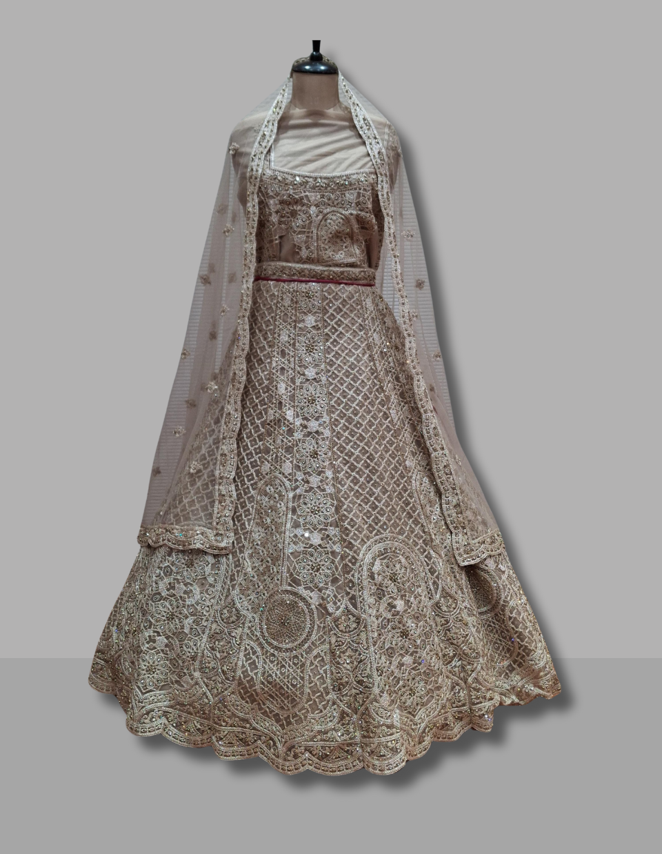 Exquisite Embroidered Party Wear Lehenga